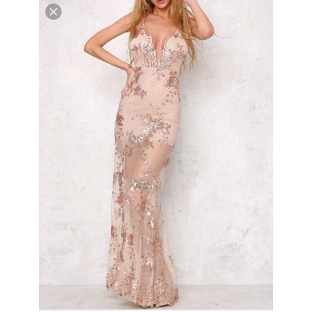 Beautiful mesh rose gold sequin dress